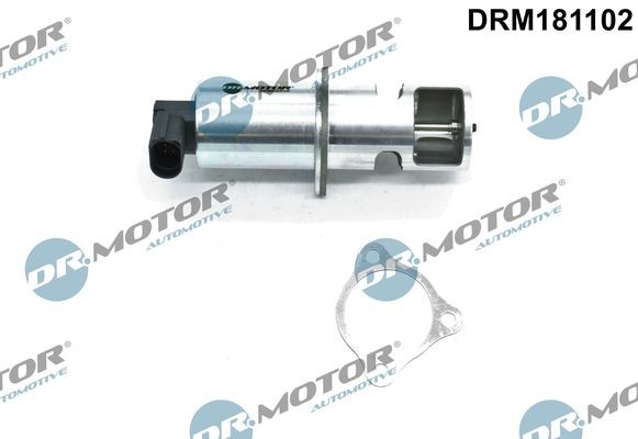 DR.MOTOR AUTOMOTIVE DRM181102 EGR valve NISSAN PRIMERA 1999 price
