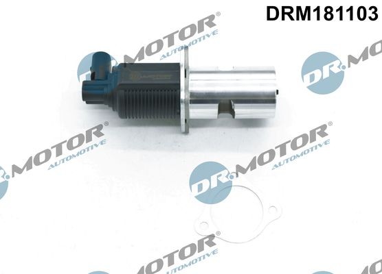 DR.MOTOR AUTOMOTIVE DRM181103 EGR valve 91 124 463