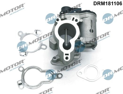 DR.MOTOR AUTOMOTIVE Electric, with seal Exhaust gas recirculation valve DRM181106 buy