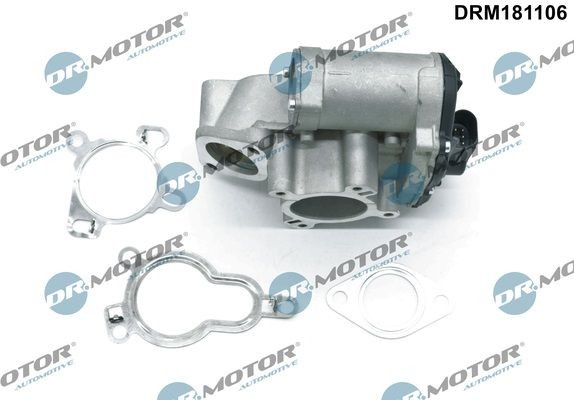 DR.MOTOR AUTOMOTIVE EGR valve DRM181106