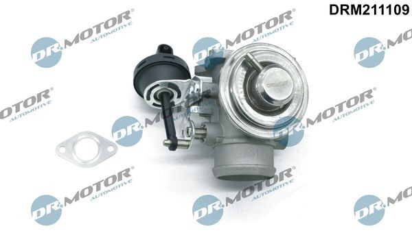 DR.MOTOR AUTOMOTIVE DRM211109 EGR valve Golf 4 1.9 TDI 4motion 90 hp Diesel 2000 price