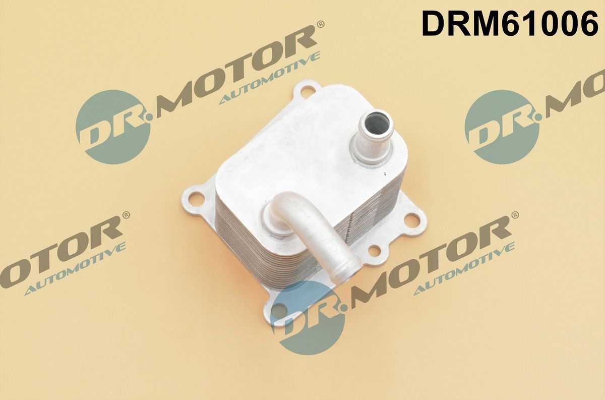 DR.MOTOR AUTOMOTIVE DRM61006 Engine oil cooler 2M5Q6B624BC
