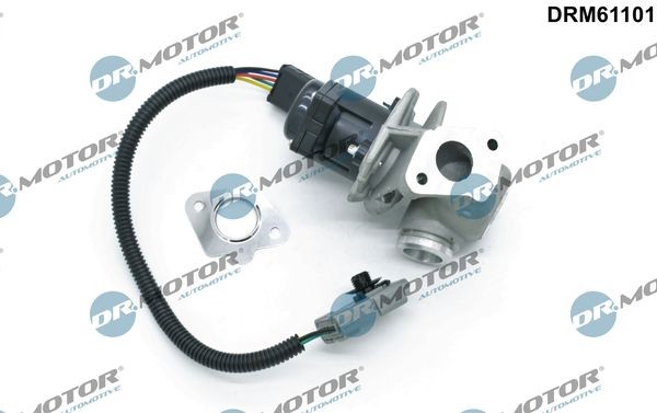 DR.MOTOR AUTOMOTIVE DRM61101 EGR valve 1254382
