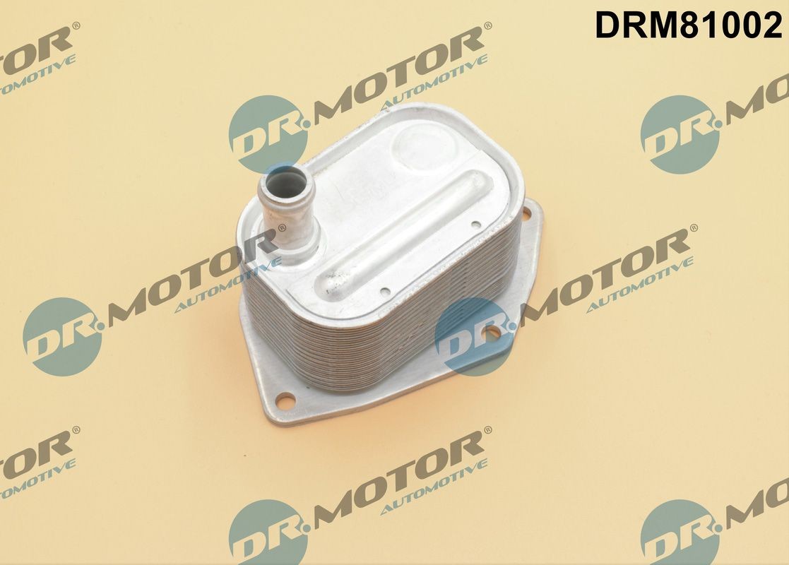 Kia Engine oil cooler DR.MOTOR AUTOMOTIVE DRM81002 at a good price