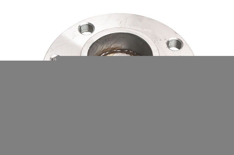 JPN 20L9056-JPN Wheel bearing kit 3981 594