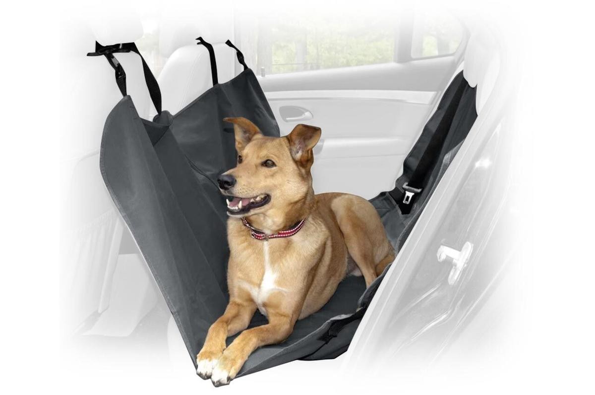 AMiO Polyester, black Length: 146cm, Width: 146cm Dog car seat cover 02570 buy