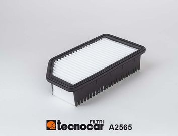 TECNOCAR 55mm, 138mm, 248mm, Filter Insert Length: 248mm, Width: 138mm, Height: 55mm Engine air filter A2565 buy