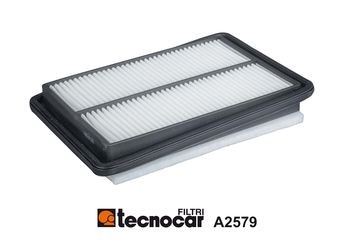 TECNOCAR 27mm, 172mm, 253mm, Filter Insert Length: 253mm, Width: 172mm, Height: 27mm Engine air filter A2579 buy