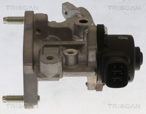 TRISCAN EGR valve 8813 13067