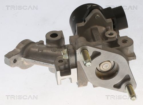 881313067 Exhaust gas recirculation valve TRISCAN 8813 13067 review and test