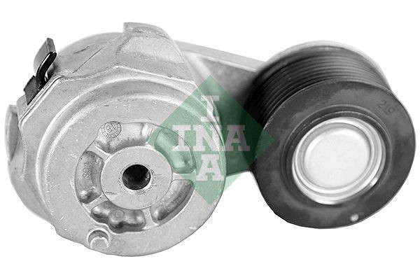 INA 534073910 Tensioner pulley 3976834