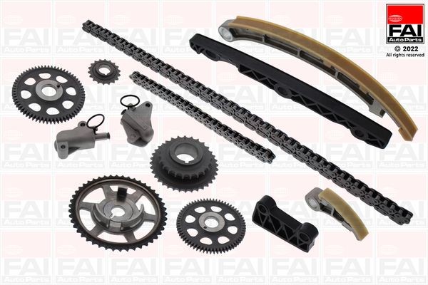 FAI AutoParts with gears, without gaskets/seals Timing chain set TCK295NG buy