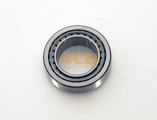 CEI 130.599 Wheel bearing 0089810305