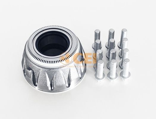 CEI 131.618 Wheel bearing kit 4200200100
