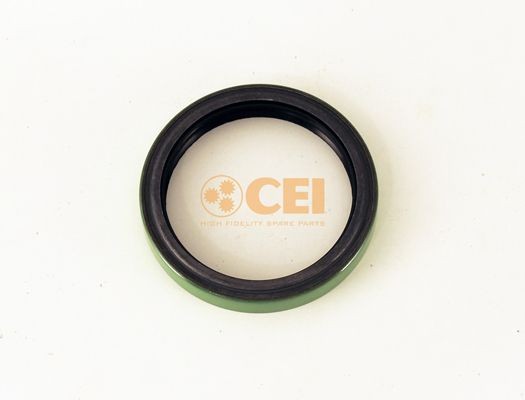 CEI 139.384 Shaft Seal, differential 254 274