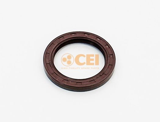 CEI 139.391 Shaft Seal, manual transmission 267268