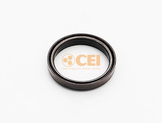 CEI 139.483 Shaft Seal, manual transmission 1502385