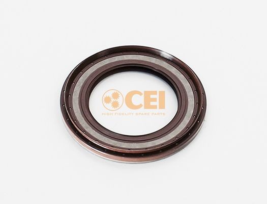 CEI 139.618 Shaft Seal, differential 1 673 701