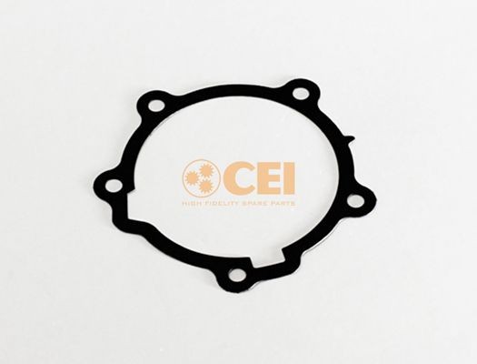 CEI 139.667 Oil Seal, manual transmission 1520796