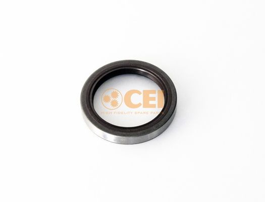CEI 139.885 Shaft Seal, differential 016 997 6847