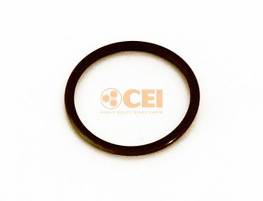 CEI 139.954 Seal, oil pump 0229007