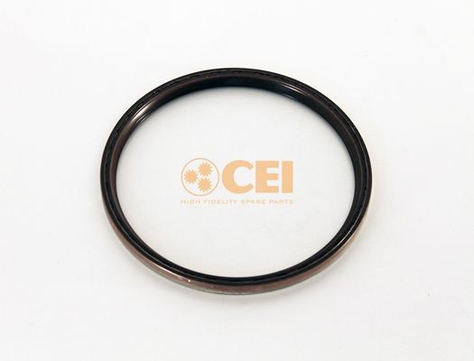 CEI 239.192 Shaft Seal, differential 40100673