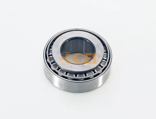 CEI 530.318 Wheel bearing 06.32499-0095