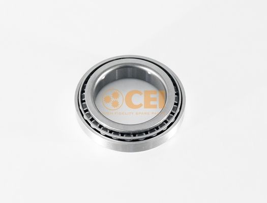 CEI 534.089 Wheel bearing kit 1905220