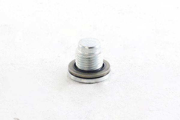 30230059 BSG BSG30-230-059 Seal Ring, nozzle holder 0313 38