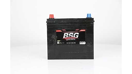 99997004 BSG BSG99-997-004 Battery 1X43 10655 BD