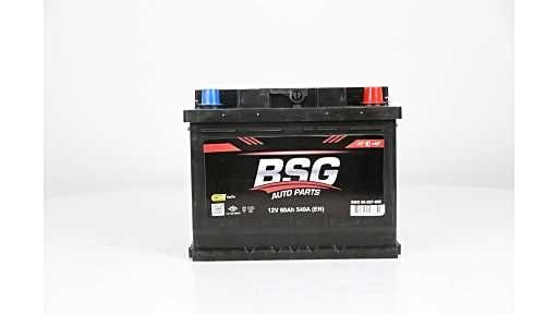 99997006 BSG BSG99-997-006 Battery 1.201.308