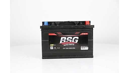BSG 99-997-010 BSG Batterie für FODEN TRUCKS online bestellen
