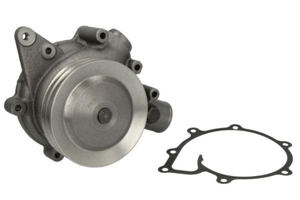 THERMOTEC Water pump for engine WP-RV123