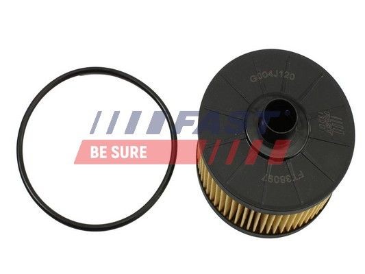 FAST FT38097 Oil filters Renault Scenic 3 1.2 TCe 131 hp Petrol 2020 price