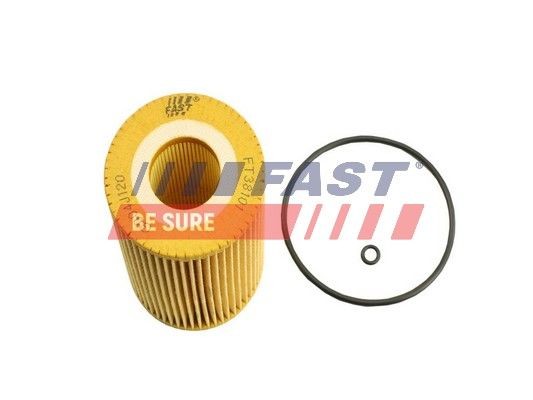 FAST FT38101 Engine oil filter Mercedes Sprinter W906 319 CDI / BlueTEC 3.0 190 hp Diesel 2022 price