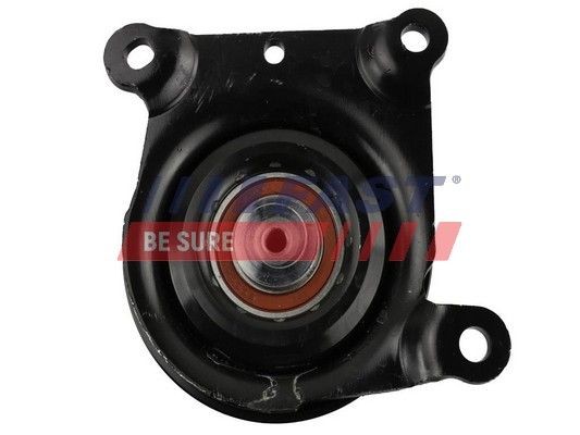 FAST Tensioner pulley FT44665