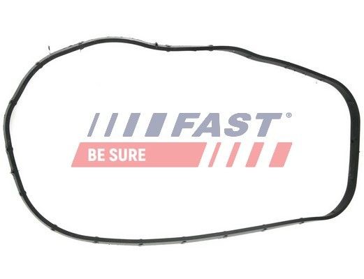 Peugeot BOXER Timing cover gasket FAST FT49065 cheap