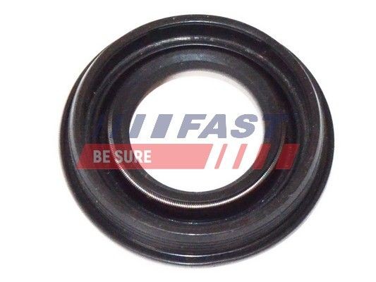 FAST FT49837 Seal Ring, nozzle holder