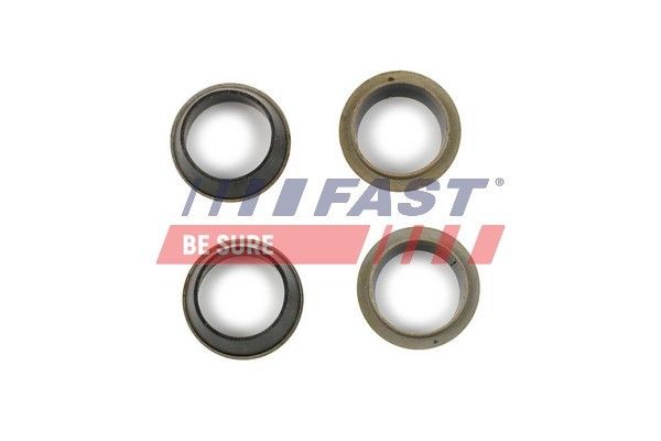 FAST FT49843 Injector seals IVECO MASSIF price