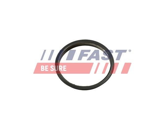 Ford Φλάντζα, αντλία υποπίεσης FAST FT49853 σε συμφέρουσα τιμή