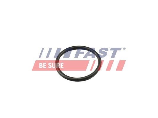 Original FT49917 FAST Thermostat gasket experience and price