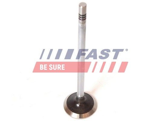 FAST FT50068 Fiat DUCATO 2021 Exhaust valve