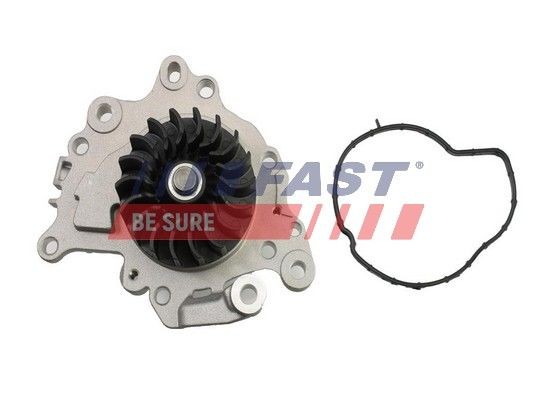 FAST FT57002 Water pump 1638159580