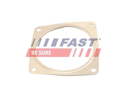 FAST FT84815 Exhaust pipe gasket Peugeot Expert Tepee