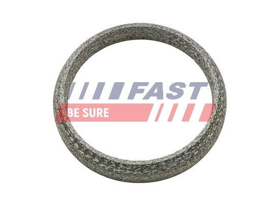 FAST FT84818 Exhaust pipe gasket 0004920981