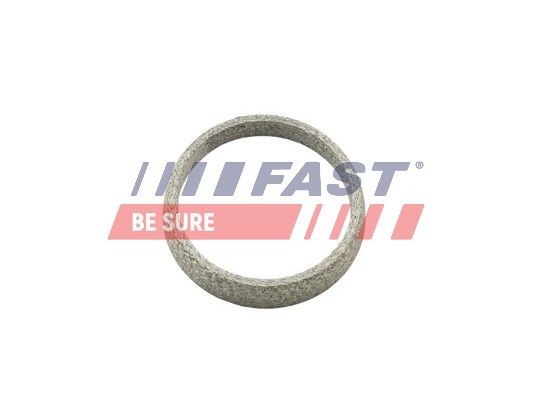 FAST FT84823 Exhaust pipe gasket 9151.6522