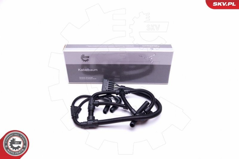 Original 53SKV015 ESEN SKV Wiring harness experience and price