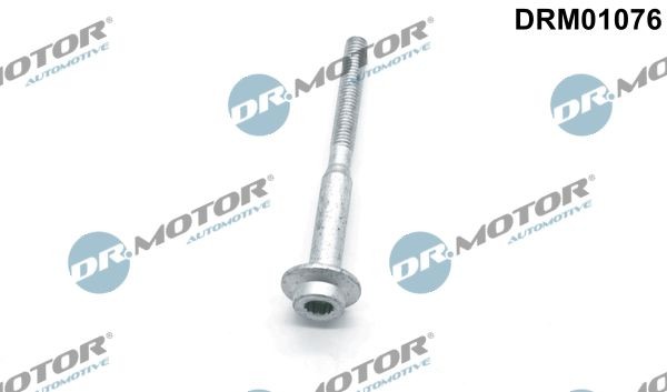 DR.MOTOR AUTOMOTIVE DRM01076 Heat shield, injection system VW GOLF 2014 in original quality