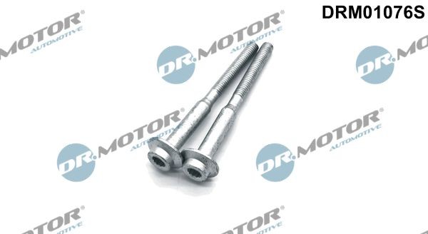 DR.MOTOR AUTOMOTIVE DRM01076S Seal Kit, injector nozzle WHT003187