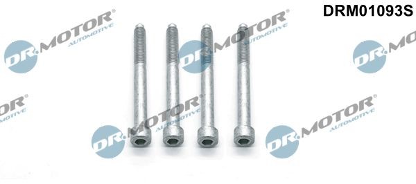 Citroën Screw, injection nozzle holder DR.MOTOR AUTOMOTIVE DRM01093S at a good price